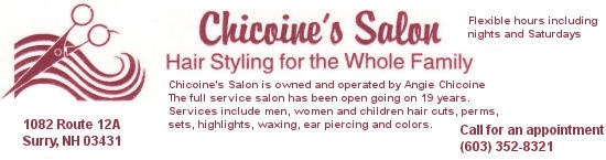 Chicoine's Salon